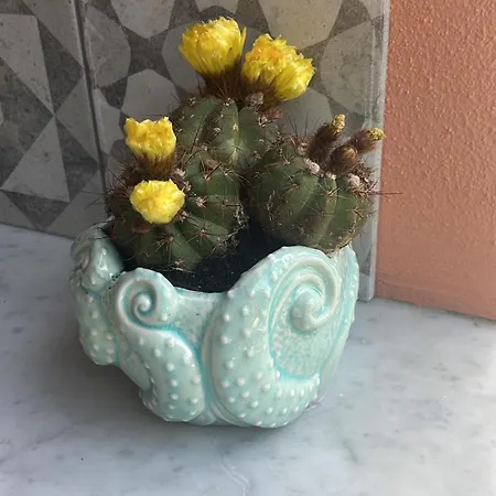 Casa Di Amos Con Parcheggio Privato