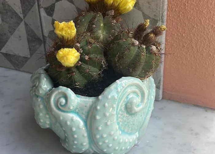 Casa Di Amos Con Parcheggio Privato